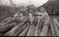 1950至2006年臺灣常民生活藏品圖，第1張