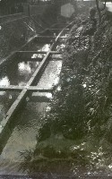 1950至2006年台灣常民生活藏品圖，第1張