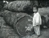 1950至2006年臺灣常民生活藏品圖，第1張