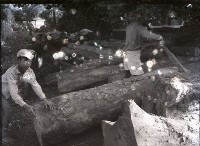 1950至2006年臺灣常民生活藏品圖，第1張