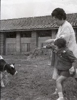 1950至2006年臺灣常民生活藏品圖，第1張