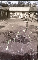 1950至2006年臺灣常民生活藏品圖，第1張