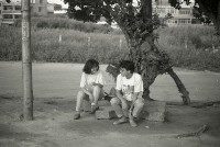 1950至2006年臺灣常民生活藏品圖，第1張