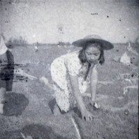 1950至2006年臺灣常民生活藏品圖，第1張