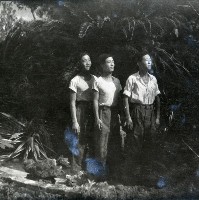 1950至2006年臺灣常民生活藏品圖，第1張