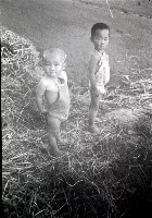 1950至2006年臺灣常民生活藏品圖，第1張