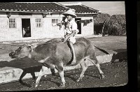1950至2006年臺灣常民生活藏品圖，第1張