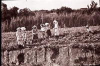 1950至2006年臺灣常民生活藏品圖，第1張