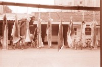 1950至2006年臺灣常民生活藏品圖，第1張