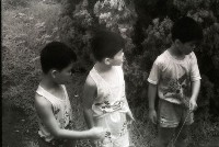 1950至2006年臺灣常民生活藏品圖，第1張