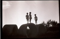 1950至2006年臺灣常民生活藏品圖，第1張
