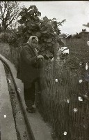 1950至2006年臺灣常民生活藏品圖，第1張