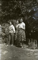1950至2006年臺灣常民生活藏品圖，第1張