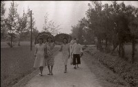 1950至2006年臺灣常民生活藏品圖，第1張