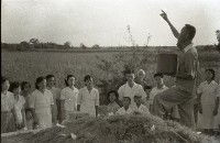 1950至2006年臺灣常民生活藏品圖，第1張