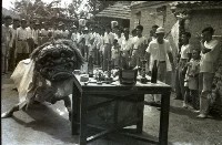 1950至2006年臺灣常民生活藏品圖，第1張