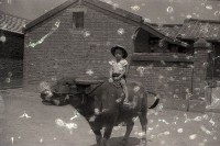 1950至2006年臺灣常民生活藏品圖，第1張