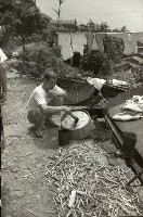 1950至2006年臺灣常民生活藏品圖，第1張