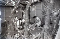 1950至2006年臺灣常民生活藏品圖，第1張