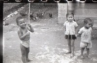 1950至2006年臺灣常民生活藏品圖，第1張