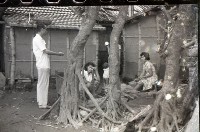 1950至2006年臺灣常民生活藏品圖，第1張