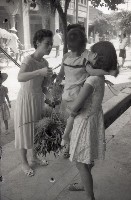 1950至2006年臺灣常民生活藏品圖，第1張