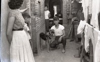 1950至2006年臺灣常民生活藏品圖，第1張
