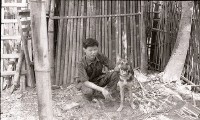 1950至2006年臺灣常民生活藏品圖，第1張