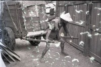 1950至2006年臺灣常民生活藏品圖，第1張