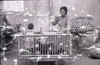 1950至2006年臺灣常民生活藏品圖，第1張