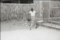 1950至2006年臺灣常民生活藏品圖，第1張