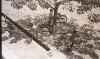 1950至2006年臺灣常民生活藏品圖，第1張