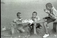 1950至2006年臺灣常民生活藏品圖，第1張