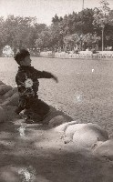 1950至2006年臺灣常民生活藏品圖，第1張