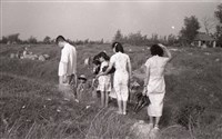 前往掃墓（1950至2006年臺灣常民生活）藏品圖，第1張