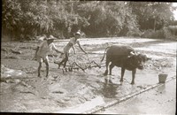 1950至2006年臺灣常民生活藏品圖，第1張