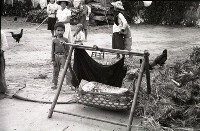 1950至2006年臺灣常民生活藏品圖，第1張