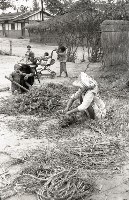 1950至2006年臺灣常民生活藏品圖，第1張