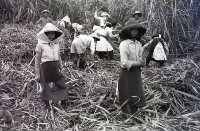 1950至2006年臺灣常民生活藏品圖，第1張