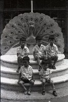 1950至2006年臺灣常民生活藏品圖，第1張