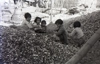 1950至2006年臺灣常民生活藏品圖，第1張