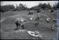 1950至2006年臺灣常民生活藏品圖，第1張