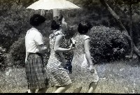 1950至2006年臺灣常民生活藏品圖，第1張