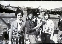 1950至2006年臺灣常民生活藏品圖，第1張