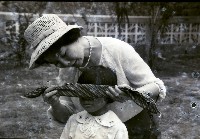 1950至2006年臺灣常民生活藏品圖，第1張