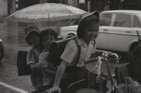 三載腳踏車（1950至2006年臺灣常民生活）藏品圖，第1張