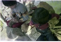 1950至2006年臺灣常民生活藏品圖，第1張