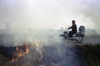 燒稻草（1950至2006年臺灣常民生活）藏品圖，第1張