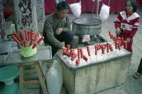 糖葫蘆（1950至2006年臺灣常民生活）藏品圖，第1張