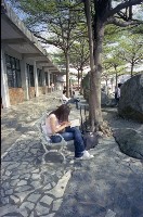 1950至2006年臺灣常民生活藏品圖，第1張